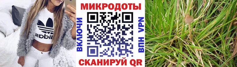 купить наркотики сайты  Электросталь  Псилоцибиновые грибы мухоморы 